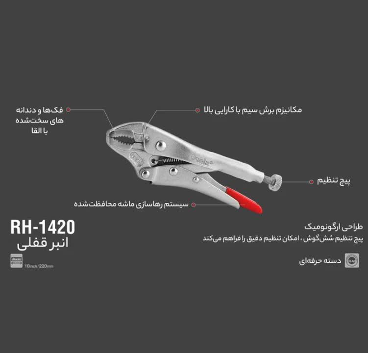 انبرقفلی - 2